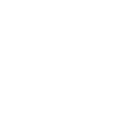 nn55 icon