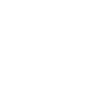 nn55 icon