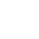 nn55 icon