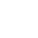 nn55 icon