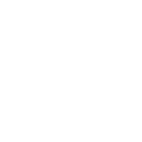 nn55 icon