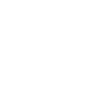 nn55 icon